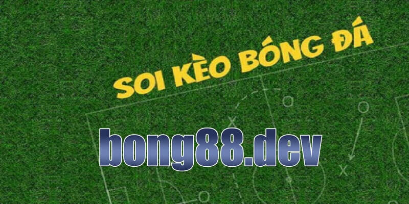 Nguyên tắc Bong88 soi kèo cần biết