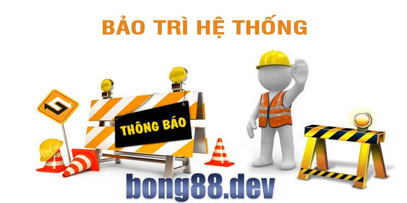 Nguyên nhân Bong88 bảo trì