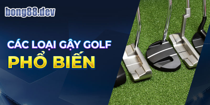 Các loại gậy golf sử dụng phổ biến hiện nay