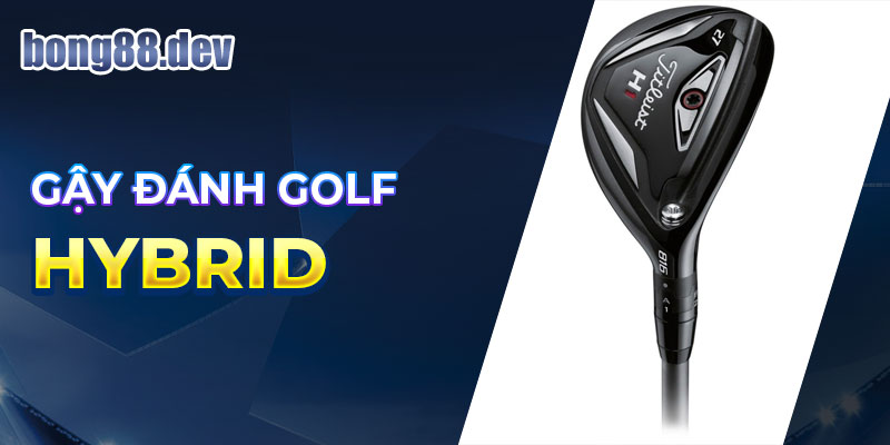 Gậy đánh golf hybrid nổi tiếng