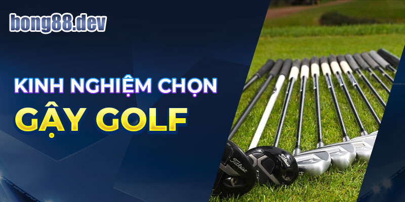 Kinh nghiệm chọn các loại gậy golf cho người mới