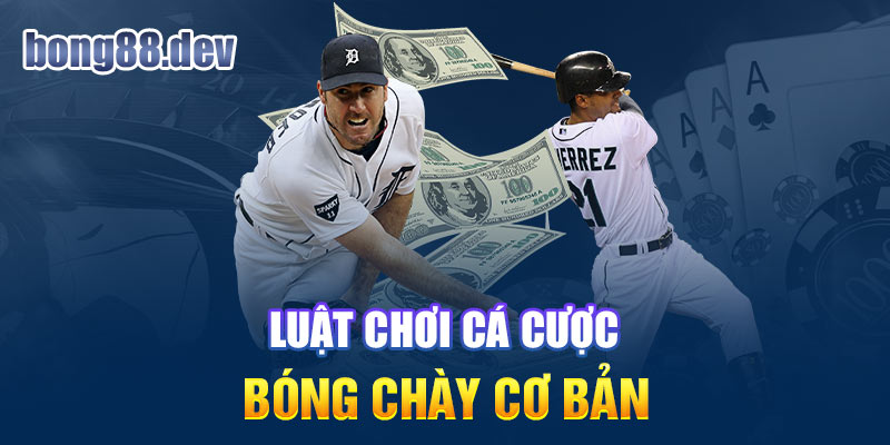 Luật chơi cá cược bóng chày cơ bản mà game thủ nên nắm bắt