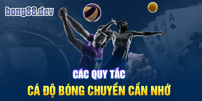 Tổng hợp các quy tắc cá độ bóng chuyền tại Bong88