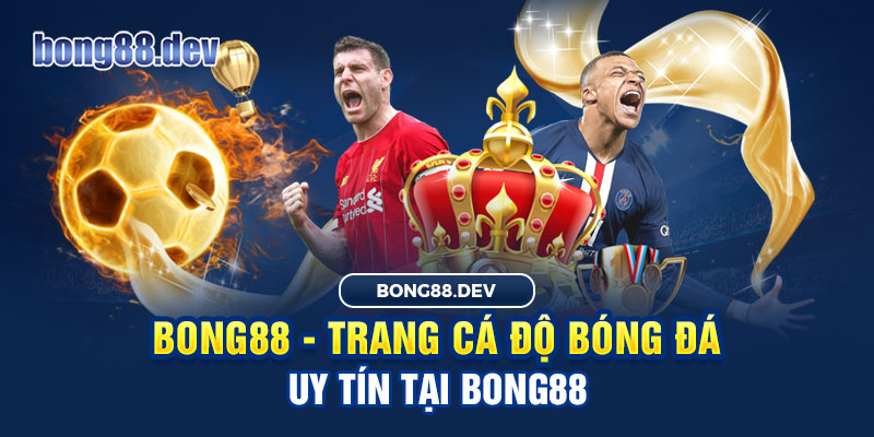 Chơi cá độ xanh chín tại nhà cái uy tín Bong88