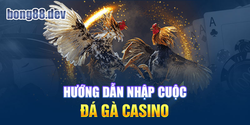 Hướng dẫn tân thủ chơi đá gà casino tại Bong88