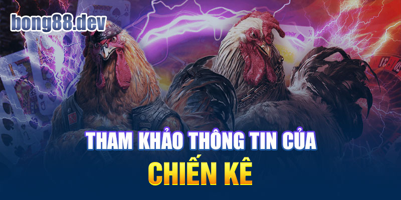 Nên tìm hiểu thông tin chiến kê kỹ càng