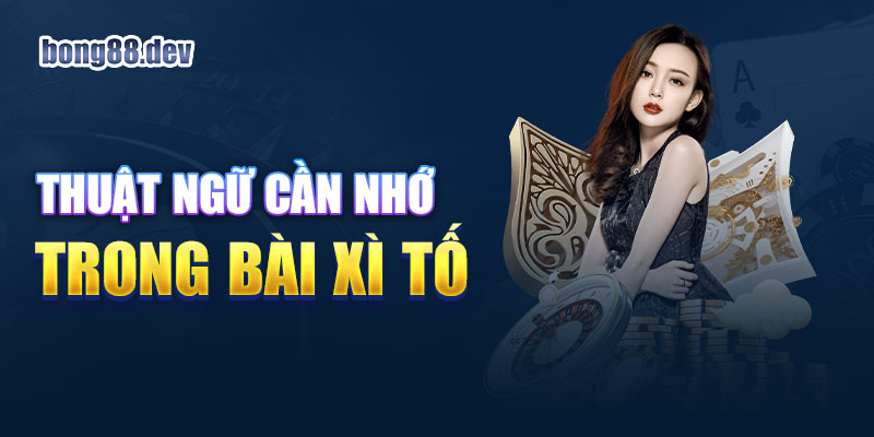 Bài xì tố sử dụng rất nhiều thuật ngữ